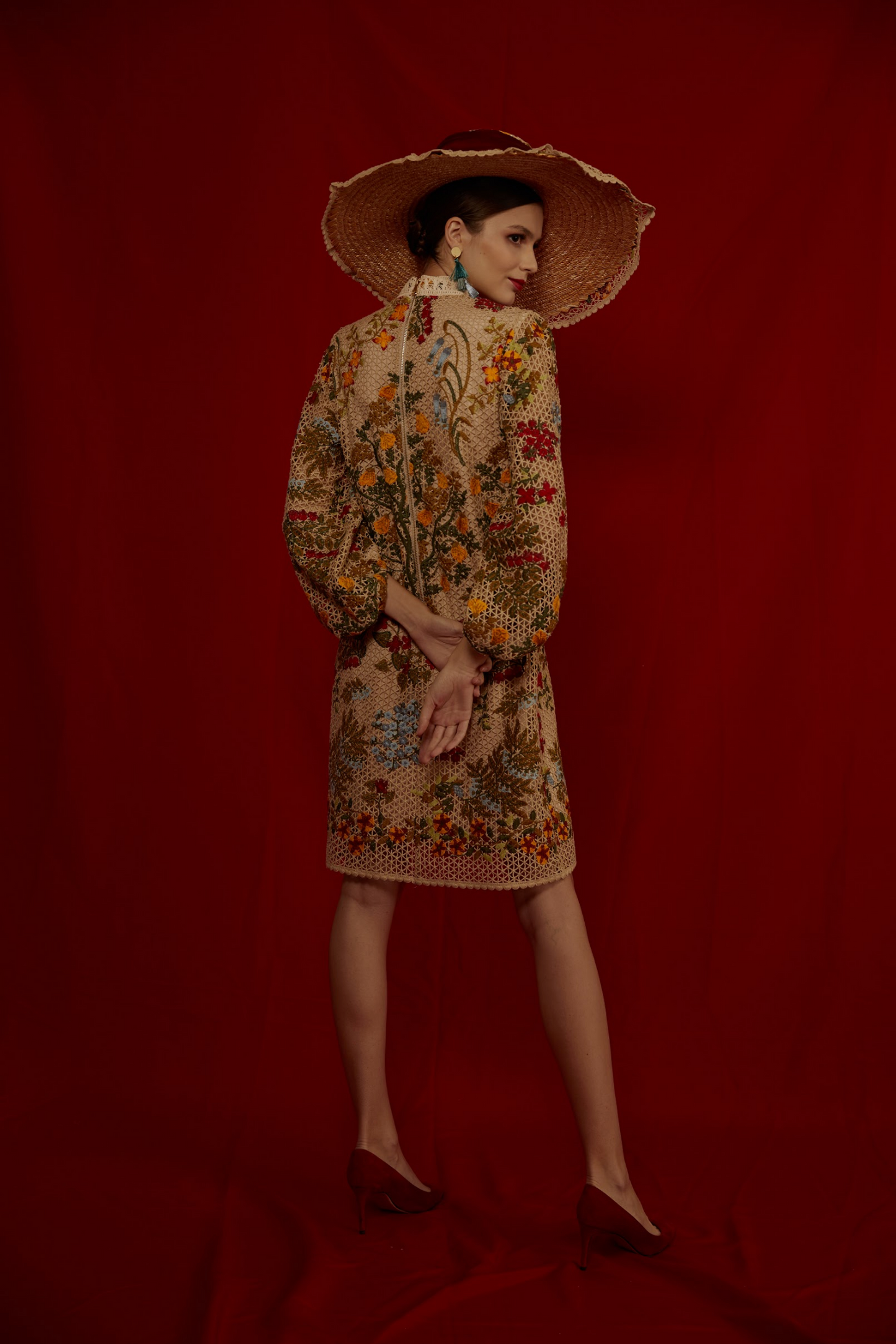 Darin Peasant Sleeve Lace Dress