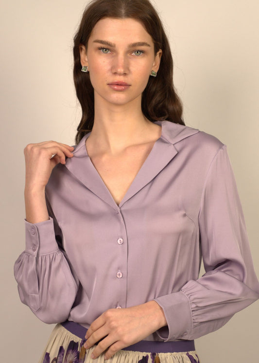 Asher Collar V Neck Blouse