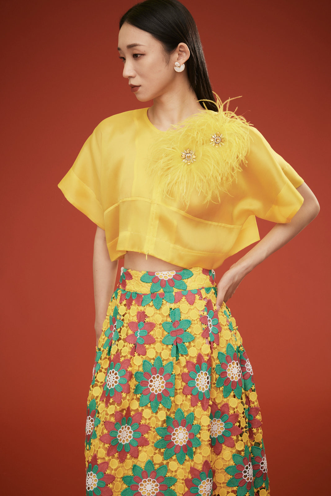 Huang Paneled Lace Skirt
