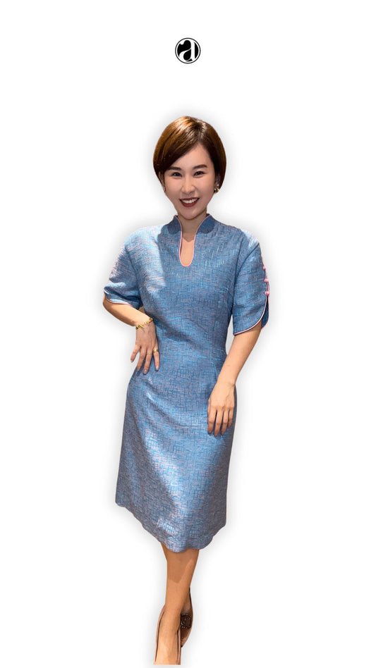 Shu V-Neck Collar Dress