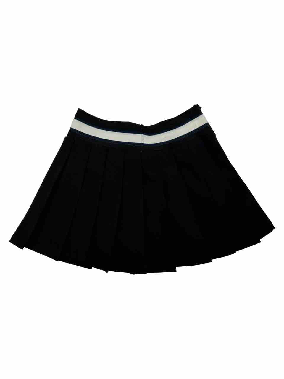 Remi Elastic Band Pleated Skirt