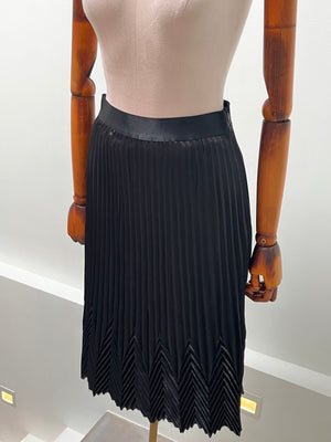 Bergenia Wideband Waist Pleated Skirt