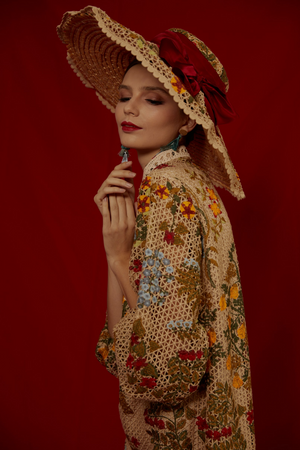 Darin Peasant Sleeve Lace Dress